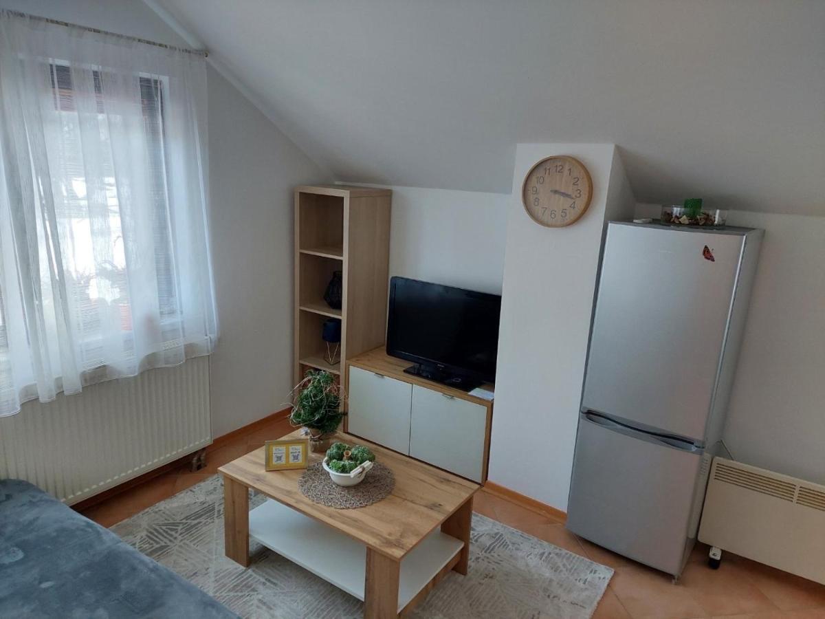 Apartma Anastasija Кранська Гора Екстер'єр фото